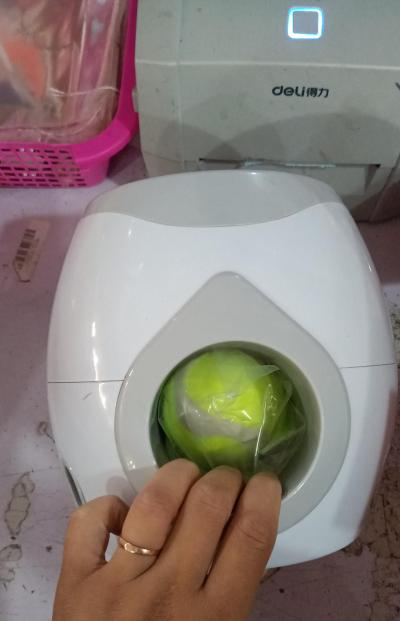 Interactive Ball-Launcher Toy & Auto Feeder for Dogs