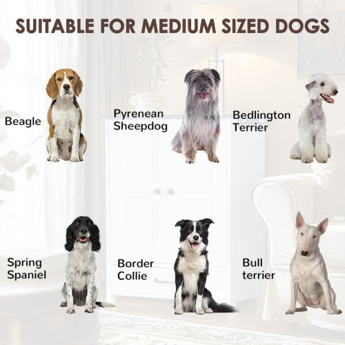Dog Feeding Station Cabinet with Hidden Bowls & Storage — White