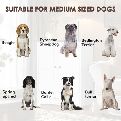 Dog Feeding Station Cabinet with Hidden Bowls & Storage — White